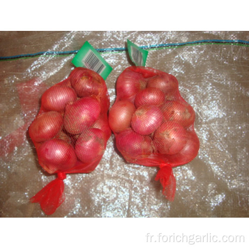 Tailles 5.0-7.0cm Oignon Rouge Frais